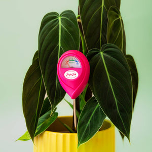 Moisture Meter | Hibiscus